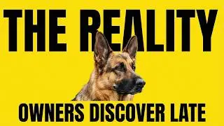 German Shepherd Owners Reveal What They Don't Tell You