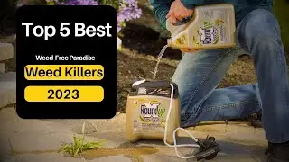 The Ultimate Guide to Weed Killers: Top 5 Picks for a Weed-Free Paradise