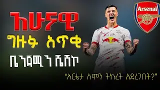 ግዙፉ አጥቂ ቤንጃሚን ሼሽኮ | arsenal and arteta get second transfer knockback in 24 hours after sesko blow