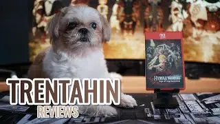 Trentahin Reviews: Hyrule Warriors Age of Imprisonment | Worth it? or dagdag backlog?