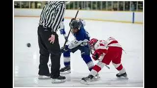2022 Silver Stick tournament highlights
