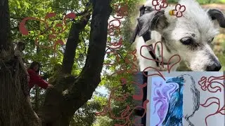 May - my boring little life - tree climbing, painting, silliness