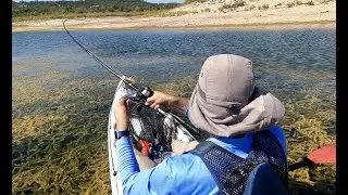 Fishing Stillhouse Hollow Lake (3 Bass in 1 Spot)