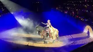 Medieval Times Arizona June 2022 #justinbieber #concert #babyanimals #cat #babykittens #horses #fyp