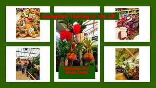 Brambridge Park Garden Centre / Garden centre tour in Eastleigh, England