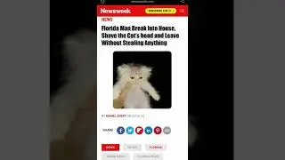 Florida Man breaks into house, shaves cat's head and leaves without stealing anything.