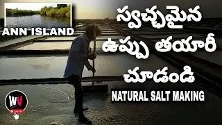 Sea Water To Salt Crystals | Making Of Natural Salt | Nellore #weekendvibes #Annisland #allur