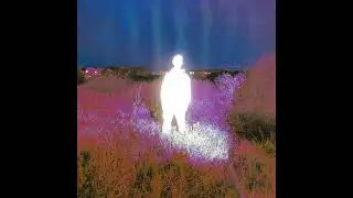 Pink Lemon Valley - Sin Rumbo
