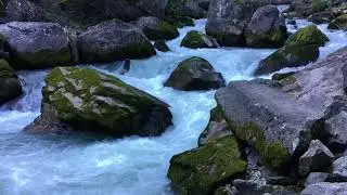 Baffidigatto, torrente