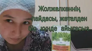 Жөтелден бір  күнде  айығасыз.Жолжелкен пайдасы.Польза подорожника, как   избавиться  от кашля