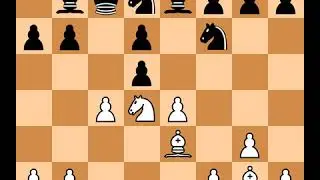 Magnus Carlsen(2484) vs Jan Werle(2407) | Event: Corus-C | 2004.01.19