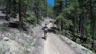 Leadville, CO Mtn Biking 2019 Troy & Mike   Day 2-2
