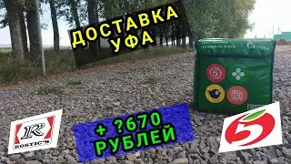 ДОСТАВКА УФА 29 СЕНТЯБРЯ/ПЯТЕРОЧКА И РОСТИКС/ + ?670 РУБЛЕЙ 