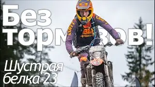 Камни, горы  и боль! Шустрая белка 2023