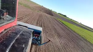 Посів сої👍 трактор Т-40АМ і сівалка isaria 01.05.2024