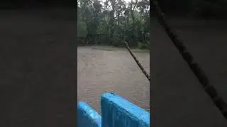 Heavy rain in beanibazar Sylhet Bangladesh New video