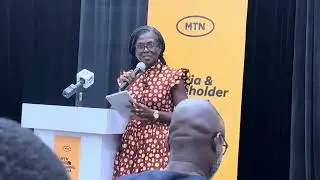 MTN Group pursuing partnership with Starlink