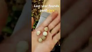 Last year founds part1 #metaldetecting #coins #relics #artifacts #silver #coppercoins #ancientrelic