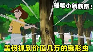 【蠟筆小新】蠟筆小新最新一集！美伢抓到價値幾十萬的鍬形蟲，想靠蟲子來改變生活，半夜被蚊子咬也不怕！#蜡笔小新 #動漫 #動畫 #二次元 #shorts #搞笑視頻 #爆笑 #搞笑