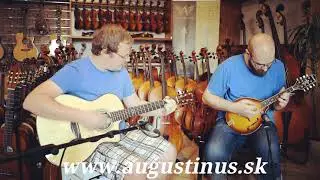 Richwood mandol&iacute;na | RMA-110-VS s gitarou