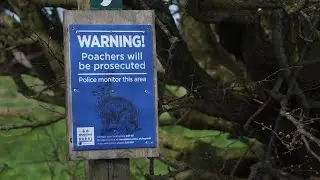 The Role of Tourism in Wildlife Conservation Efforts