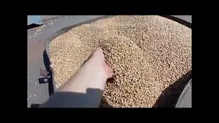 2023 рік в одному відео!