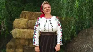 Cristina Dragan Diaconescu- La omul cu voie buna (sarba)