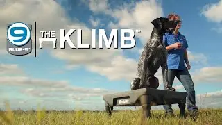 The Klimb by Blue 9 - the BEST dog training stand on the market