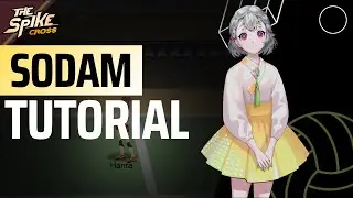 Sodam (+5) Guide & Tutorial - S- Rank Setter | The Spike Cross