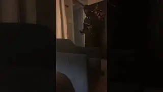 Police brutality awareness