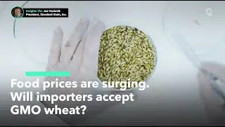 Food Price Surge Revives GMO Wheat Question