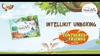 Firstcry Intellikit - Feathered Friends (Age group: 2 to 3 years)