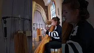 Black Butler/Book of Circus #short #harp #harpist #animemusic #filmmusic #japanmusic #bookofcircus