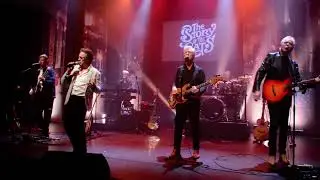 The Cats in the House - Vaya con Dios
