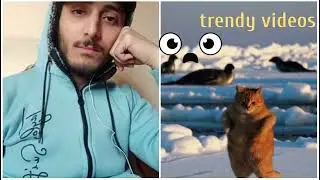 #animalsofig #animals_happy #treanding #explore #ex #animalsketch #fyp #fpy #fpyシ #fun #funny