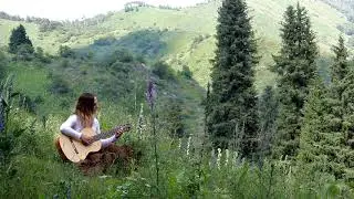 Braveheart OST | Fingerstyle cover