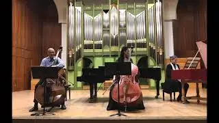 Vivaldi - Concerto for 2 celli