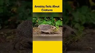 interestingfactsaboutcreatures,#viralcreatures video#trendingcreatures #factaboutcreatures#creatures