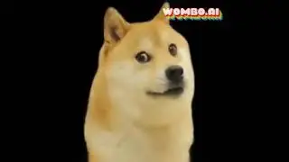 Doge ★ Wombo.ai