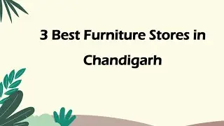 3 Best Furniture stores in Chandigarh, Chandigarh 2024 | Furniture shops