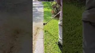 See how small grass is cleaned at home