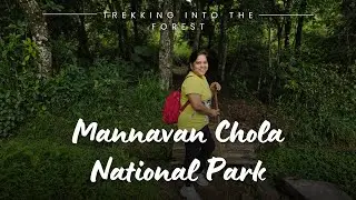 Mannavan Shola National Park in Kandhaloor Kerala | Must visit place ❤️ THE MANGO | Hidden Waterfall