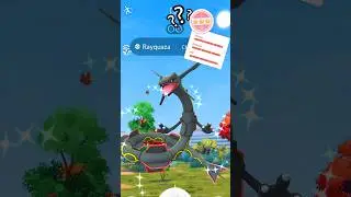 Shundo Rayquaza?! Am I lucky Enough #pokemongo #pokemon #youtubeshorts