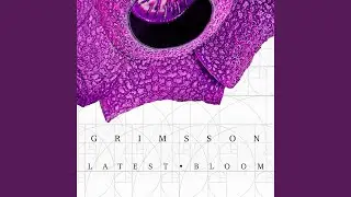 Golden Ratio