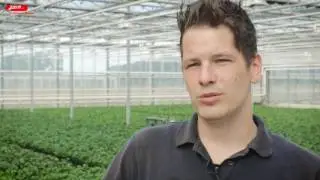 Javo Plus M2.0 potmachine met Hortensia