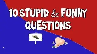 10 Stupid & Funny Questions!