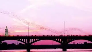 Bat bridge