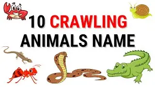 10 crawling animals name || Ten crawl animals name with picture || crawling animals in hindi