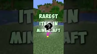 the lost minecraft item...