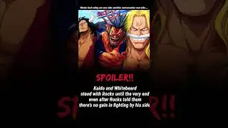 WHOLE GOD VALLEY INCIDENT ONE  SIDE AND THIS CONVERSATION ONE SIDE..#onepiece #zoro #sanji
